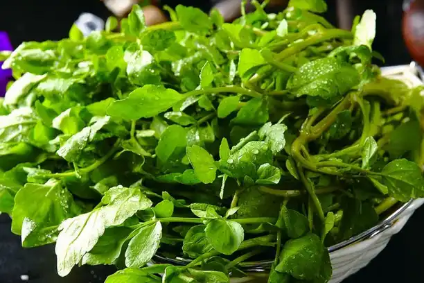 What does watercress do for hair?